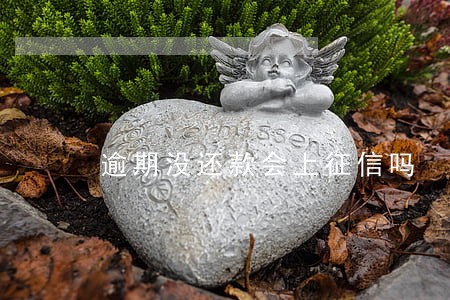 逾期没还款会上征信吗 逾期没还款会上征信吗