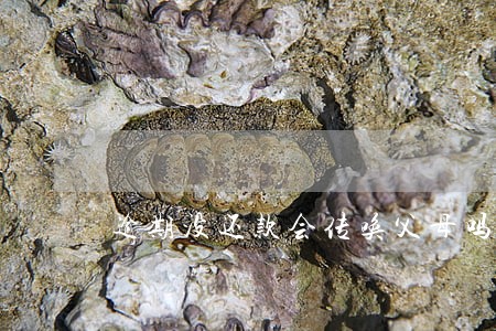 逾期没还款会传唤父母吗 逾期没还款会传唤父母吗