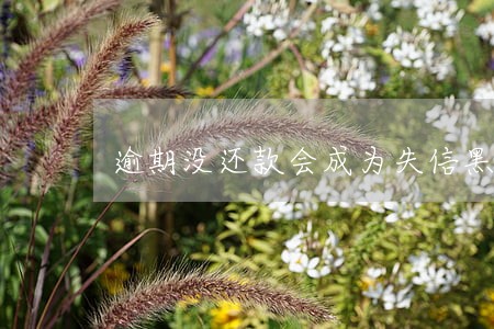 逾期没还款会成为失信黑名单吗 逾期没还款会成为失信黑名单吗