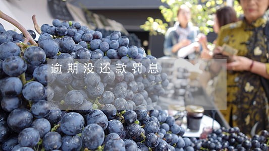 逾期没还款罚息 逾期没还款罚息