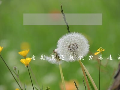 逾期没还款能力爆通讯录 逾期没还款能力爆通讯录