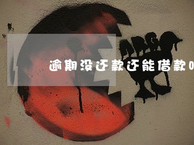 逾期没还款还能借款吗