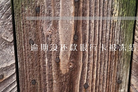 逾期没还款银行卡被冻结