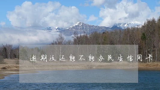 逾期没还能不能办民生信用卡 逾期没还能不能办民生信用卡