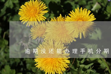 逾期没还能办理手机分期吗 逾期没还能办理手机分期吗