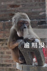 逾期没还能过的网贷 逾期没还能过的网贷