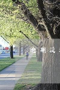 逾期没还说6小时开庭