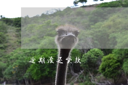 逾期没还贷款 逾期没还贷款