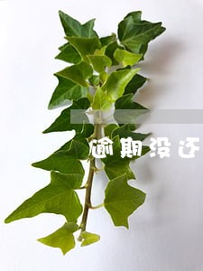 逾期没还贷款的车可以跑长途吗 逾期没还贷款的车可以跑长途吗