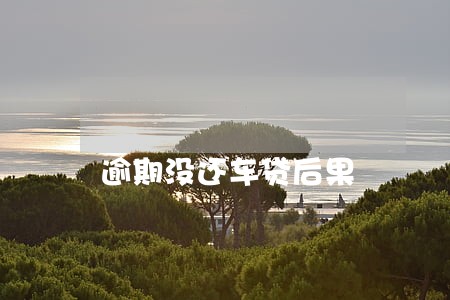 逾期没还车贷后果 逾期没还车贷后果