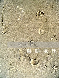 逾期没还车贷能私自把车开走吗 逾期没还车贷能私自把车开走吗