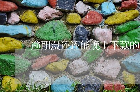 逾期没还还能晚上下款的口子 逾期没还还能晚上下款的口子