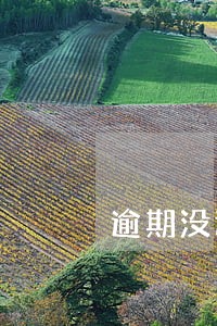 逾期没还送金融信用 逾期没还送金融信用