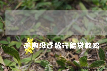 逾期没还银行能贷款吗 逾期没还银行能贷款吗