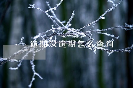 逾期没逾期怎么查询 逾期没逾期怎么查询