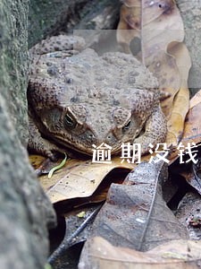 逾期没钱电话还接吗 逾期没钱电话还接吗