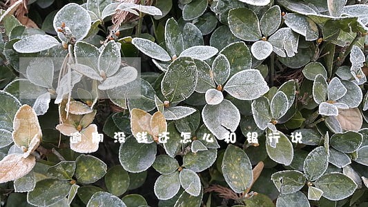 逾期没钱还怎么和银行说 逾期没钱还怎么和银行说
