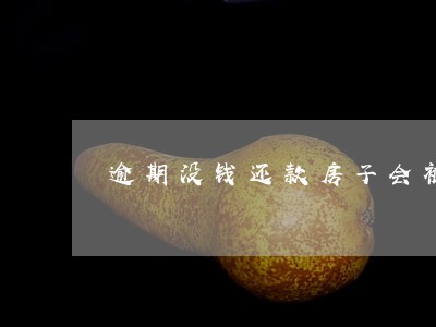 逾期没钱还款房子会被执行吗