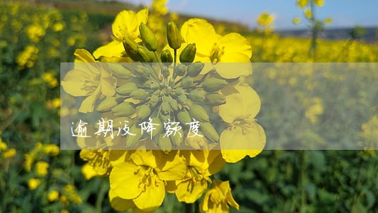 逾期没降额度 逾期没降额度