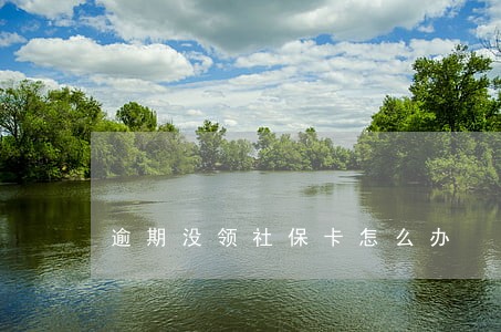 逾期没领社保卡怎么办 逾期没领社保卡怎么办