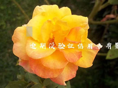 逾期没验证信用卡有影响嘛