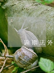 逾期法外访通知