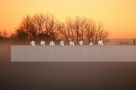 逾期法定利率上限
