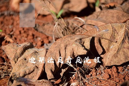 逾期法庭开庭流程 逾期法庭开庭流程