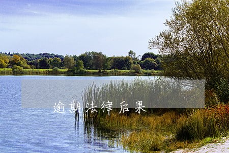逾期法律后果