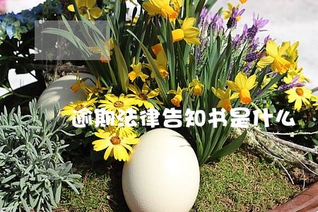 逾期法律告知书是什么 逾期法律告知书是什么