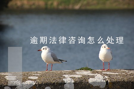 逾期法律咨询怎么处理 逾期法律咨询怎么处理