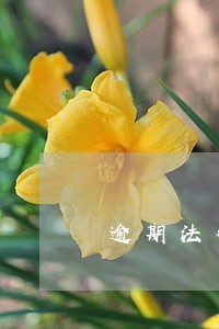 逾期法律文书会寄到户籍地吗 逾期法律文书会寄到户籍地吗