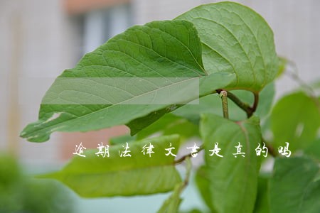 逾期法律文书是真的吗