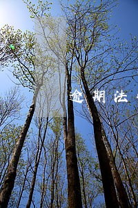 逾期法律责任文书 逾期法律责任文书
