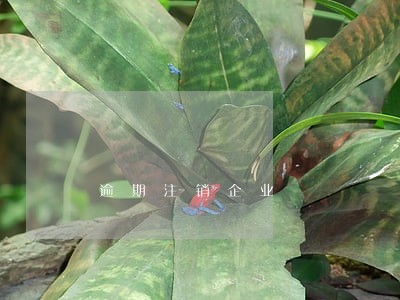逾期注销企业 逾期注销企业