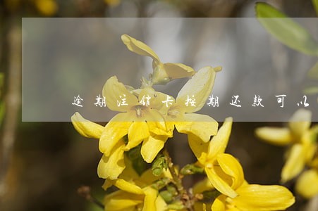 逾期注销卡按期还款可以吗