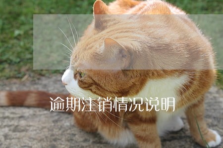 逾期注销情况说明 逾期注销情况说明