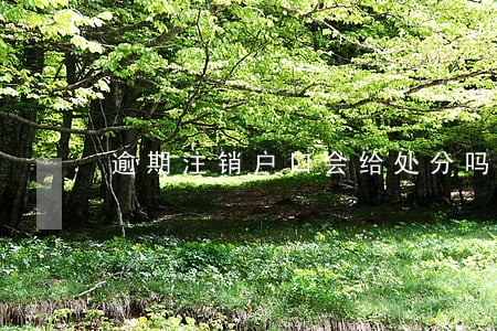 逾期注销户口会给处分吗 逾期注销户口会给处分吗