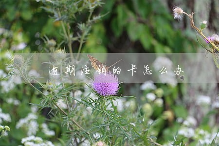 逾期注销的卡怎么办 逾期注销的卡怎么办