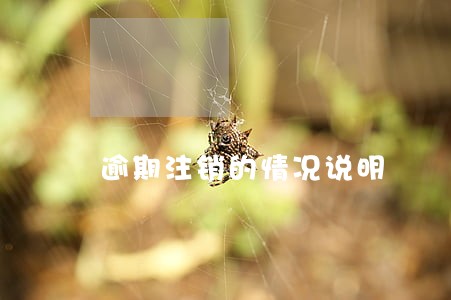 逾期注销的情况说明 逾期注销的情况说明