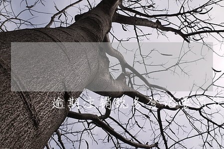 逾期注销税务登记要罚款吗 逾期注销税务登记要罚款吗