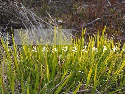 逾期注销过还能再申请信用卡么 逾期注销过还能再申请信用卡么