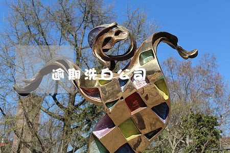 逾期洗白公司 逾期洗白公司