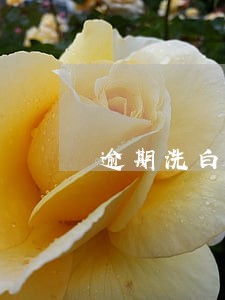逾期洗白案例 逾期洗白案例