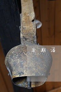 逾期活力花几天开始打通讯录 逾期活力花几天开始打通讯录