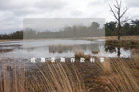 逾期活期存款利率