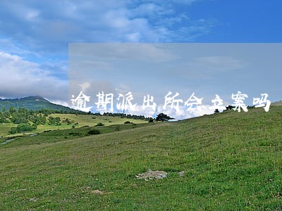逾期派出所会立案吗