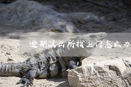 逾期派出所找上门怎么办