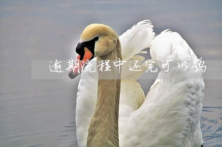 逾期流程中还完可以嘛