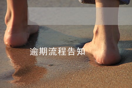 逾期流程告知 逾期流程告知